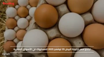 تراجع سعر كرتونة البيض 29 نوفمبر 2025 للمستهلك في الأسواق المصرية